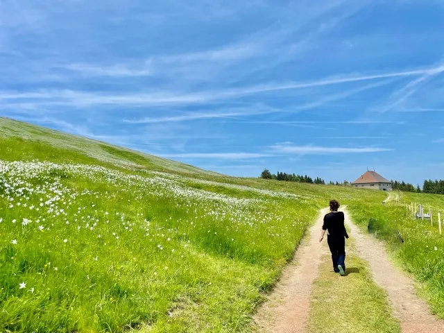 休日の過ごし方