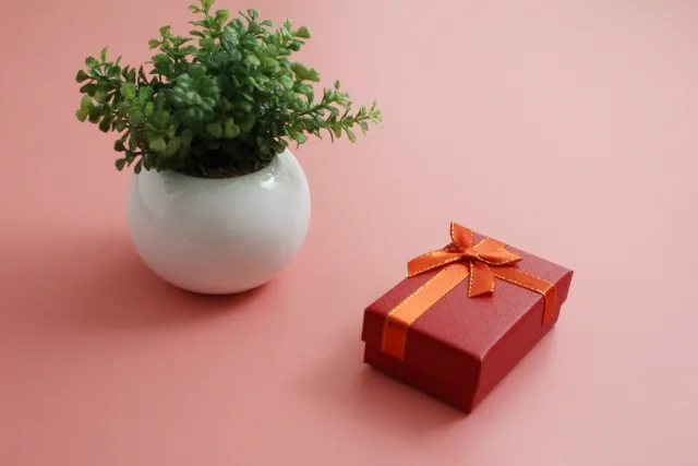 シンプルなギフトボックスと植物